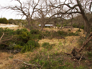 habitat control texas wildlife exemption